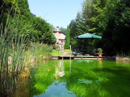Naturpool mit Terrasse im Garten, Schluchtstr. 25, 45359 Essen, Deutschland