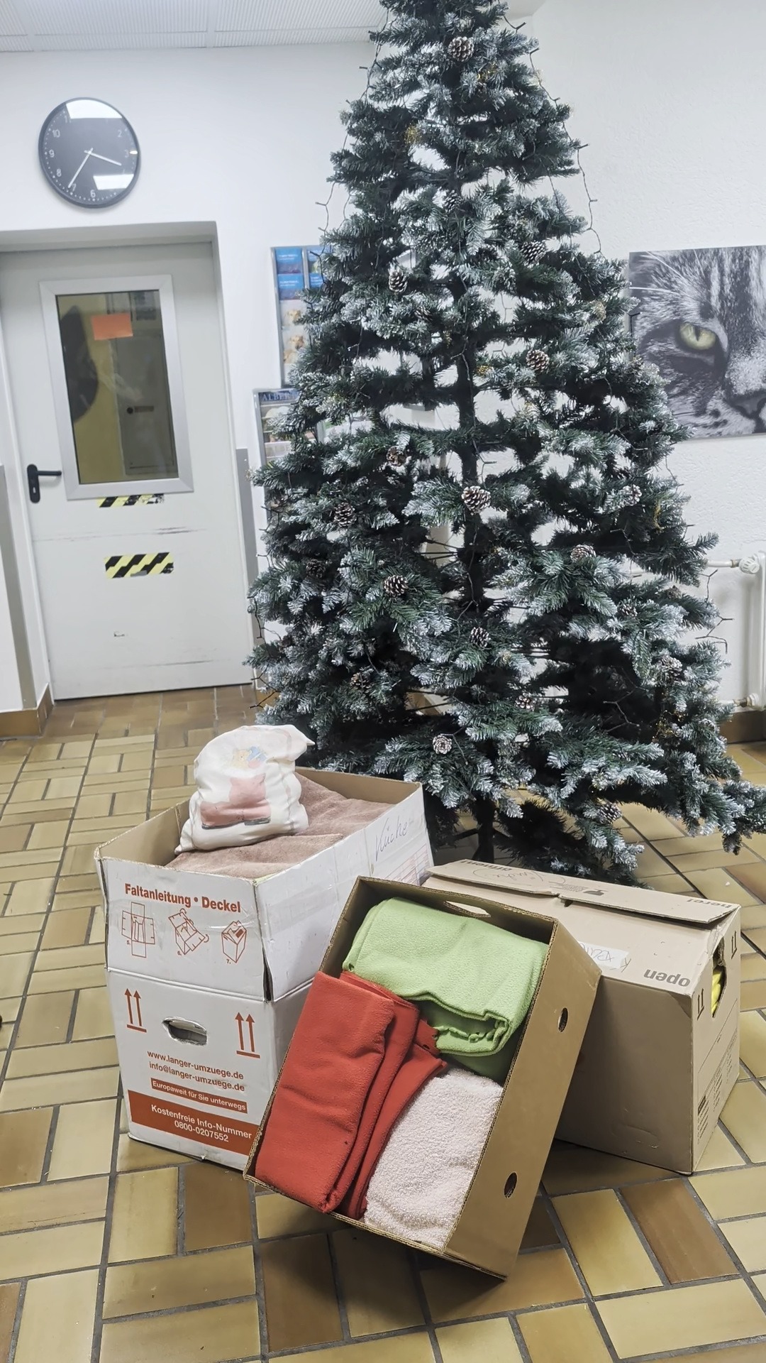 Spende an das Albert-Schweitzer-Tierheim in Essen