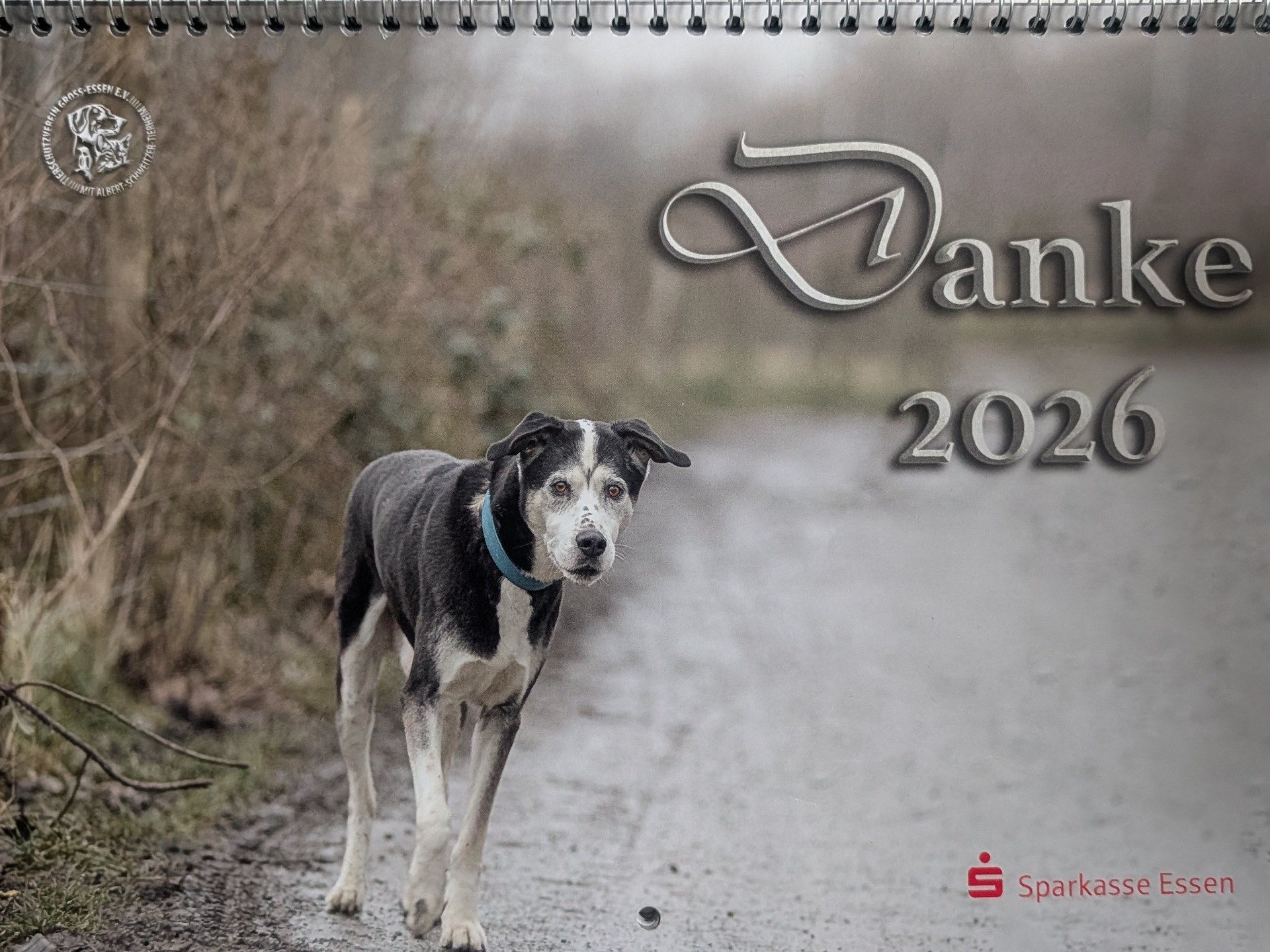 Kalender des Albert-Schweitzer-Tierheims in Essen