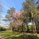 Frühjahr im Park des Wasserschlosses Wittringen Gladbeck