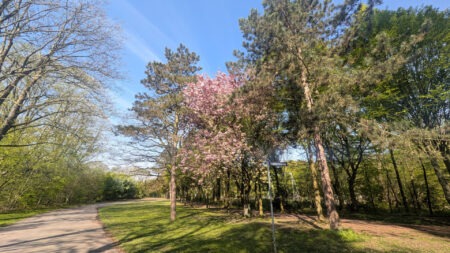 Frühjahr im Park des Wasserschlosses Wittringen Gladbeck