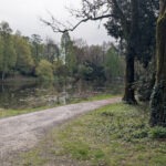 Gewässer im Schlosspark Wittringen Gladbeck