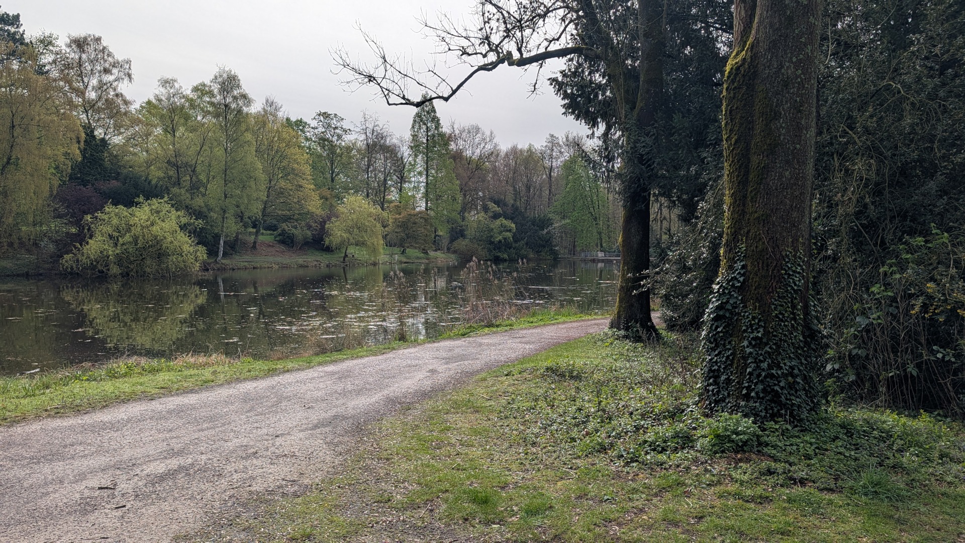 Gewässer im Schlosspark Wittringen Gladbeck