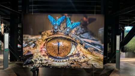 Ausstellung "Mythos Wald" im Oberhausener Gasometer