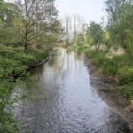 Niersaue bei Wachtendonk