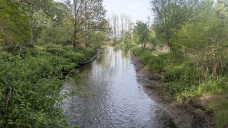 Niersaue bei Wachtendonk