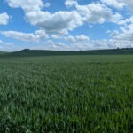 Zwischen Polch und Maria Laach