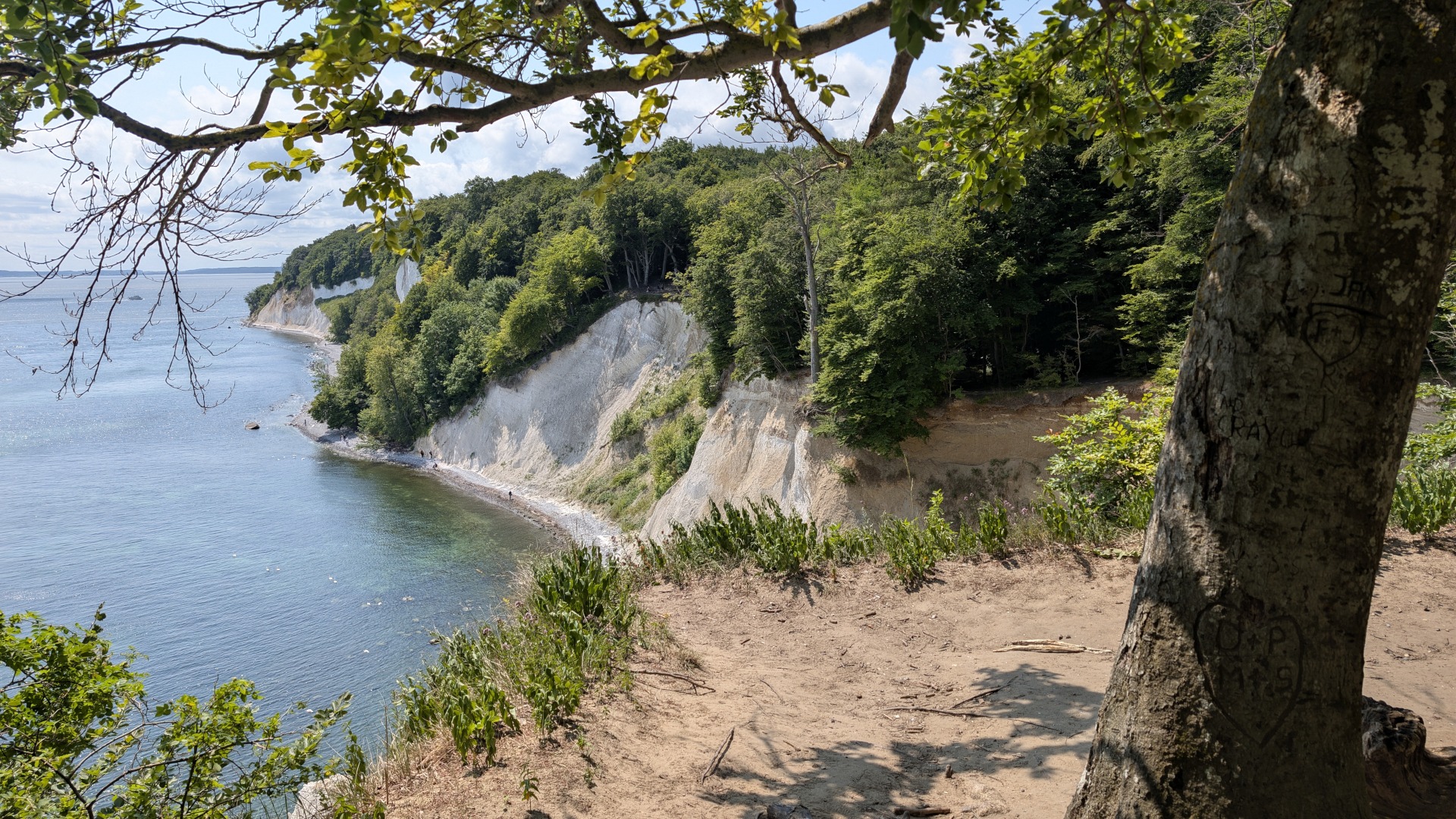 Die weltberühmten Kreidefelsen auf Rügen