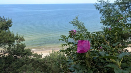 Unterwegs an der Bansiner Steilküste