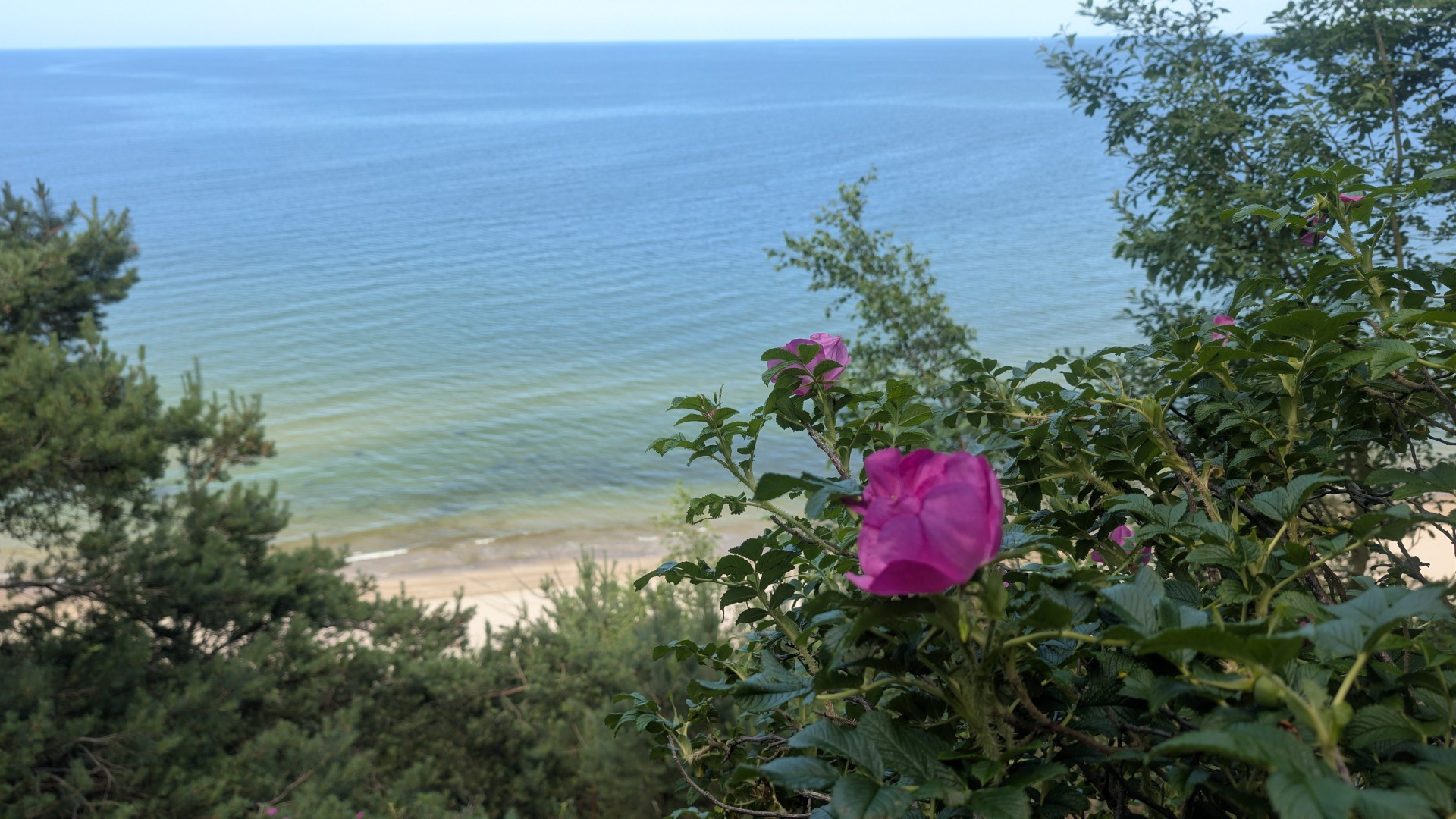 Unterwegs an der Bansiner Steilküste