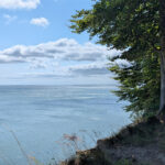 Aussicht vom Jasmund-Nationalpark auf die Ostsee