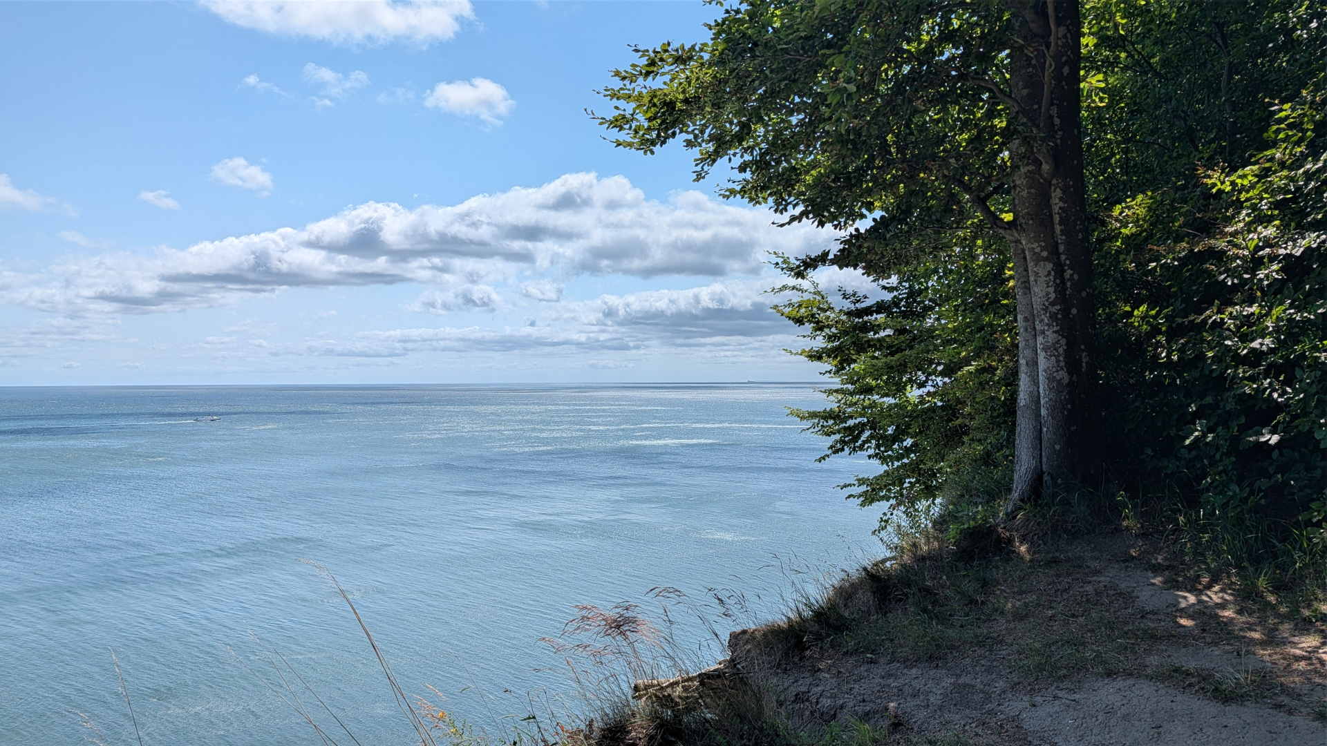 Aussicht vom Jasmund-Nationalpark auf die Ostsee