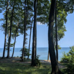 Ostseeblick durch Buchenwälder