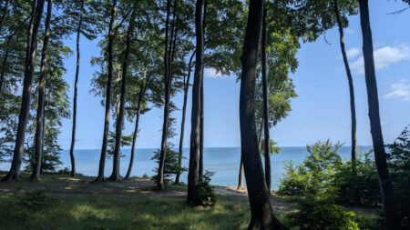 Ostseeblick durch Buchenwälder