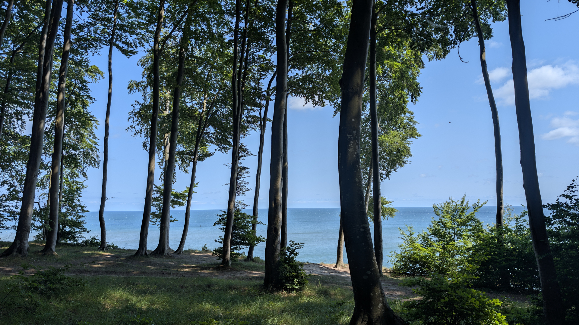 Ostseeblick durch Buchenwälder