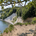 Wanderweg an der Steilküste des Jasmund-Nationalparks