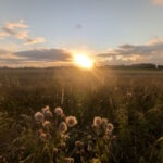 Sonnenuntergang in Sagard