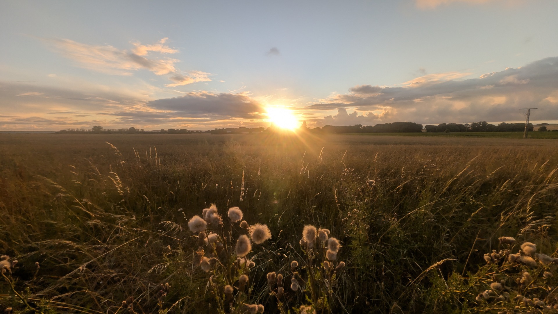 Sonnenuntergang in Sagard