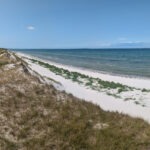 Die "Hohe Düne" am Pramort, östlich von Zingst