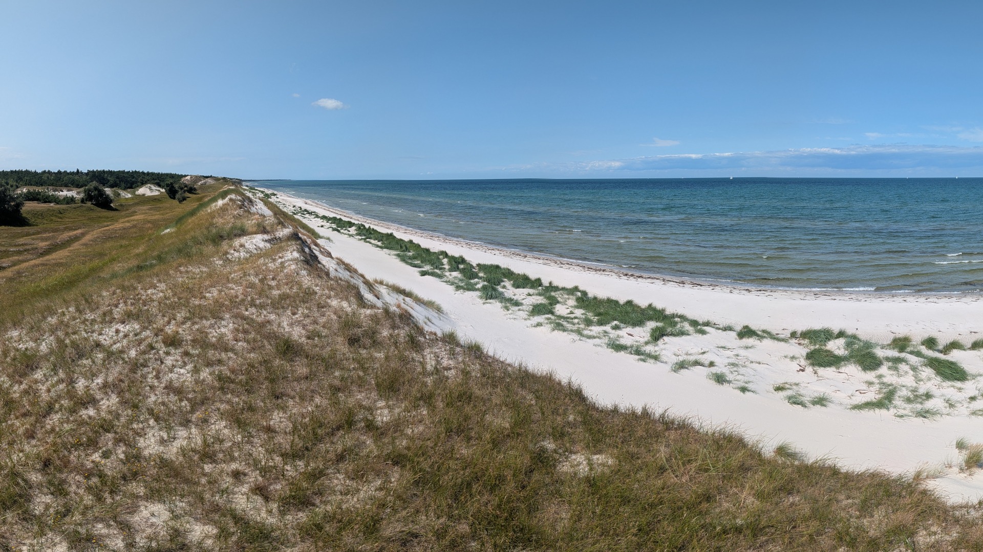 Die "Hohe Düne" am Pramort, östlich von Zingst