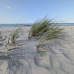 Strand am östlichen Ende von Zingst