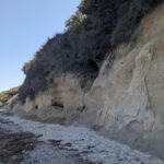 Bodenerosion hautnah: Abbruchkante am Gespensterwald Nienhagen