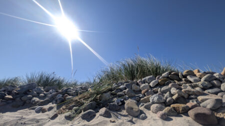 Sommer an der Ostsee